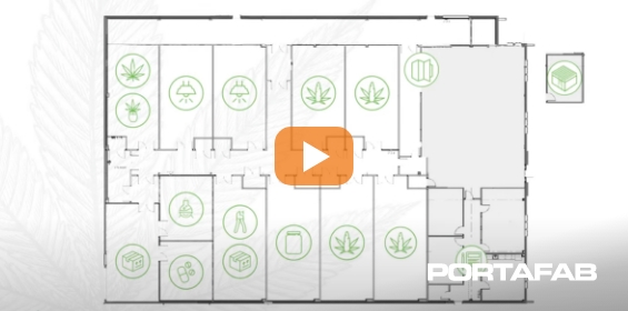 Ideal Conditions for Grow Room Cultivation