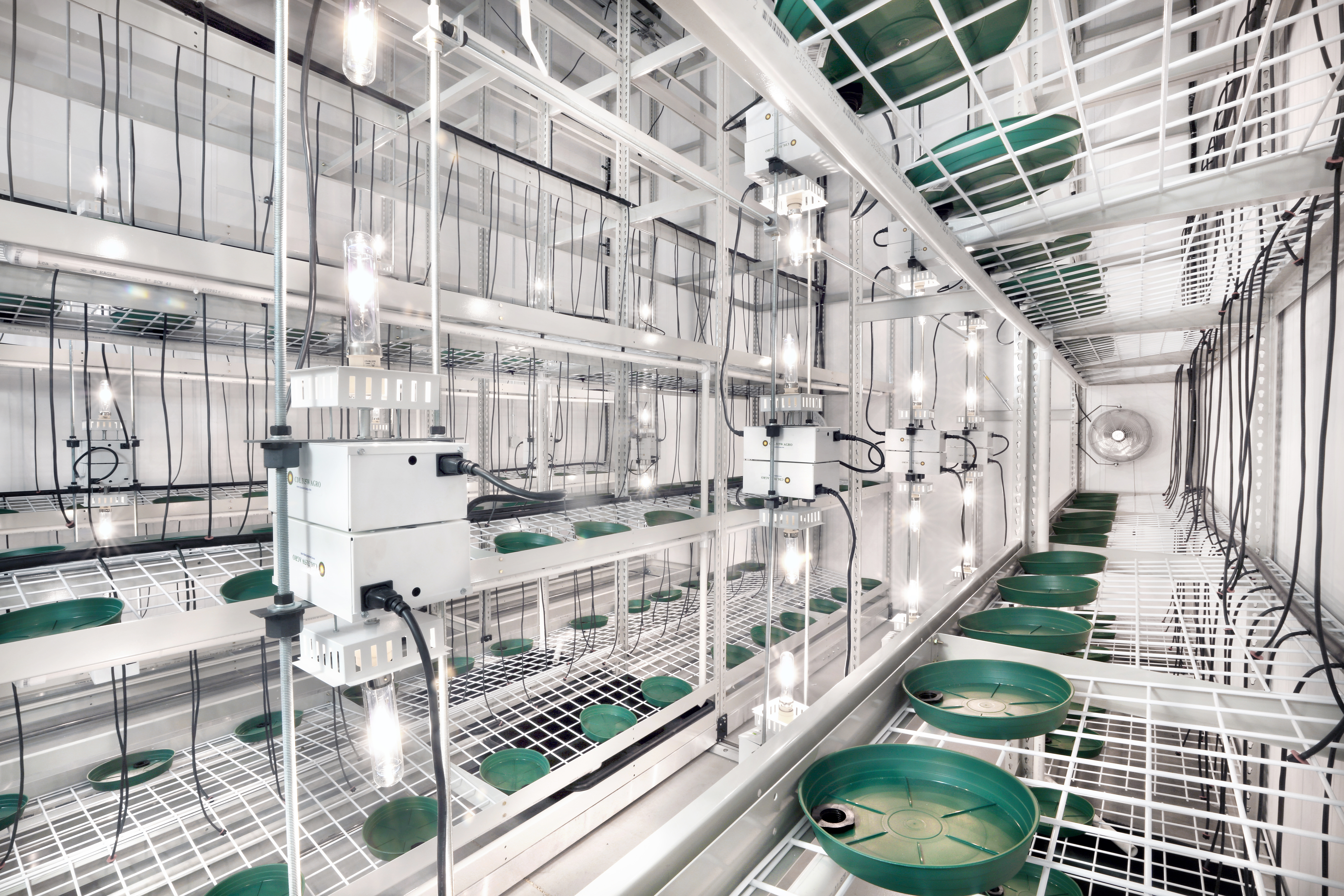 Commercial Cannabis Cultivation Room