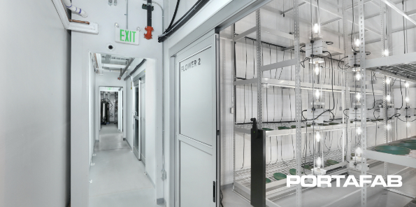 Cannabis Cultivation Room