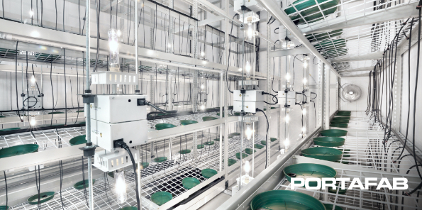 Cannabis Cultivation Room