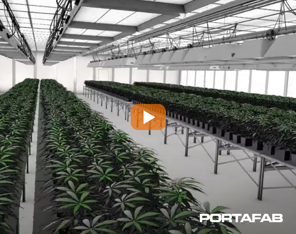 Cannabis Cultivation Room, cleanrooms, modular cleanrooms, modular cleanroom construction, cleanroom construction, cleanroom, hardwall cleanrooms