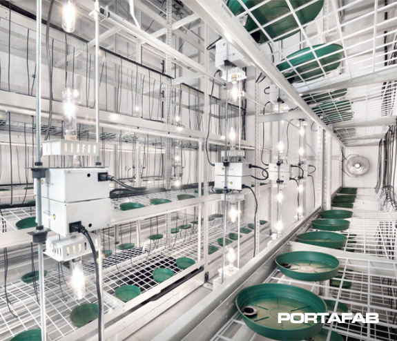Cannabis Cultivation Room