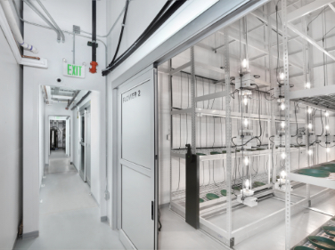 Cannabis Cultivation Rooms
