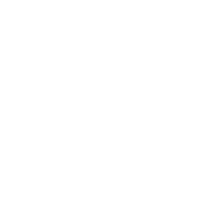 Facade Icon