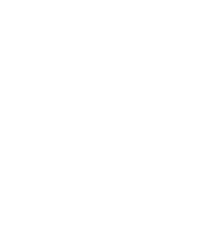 clean up icon