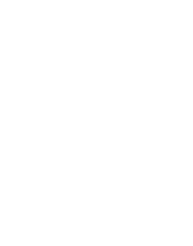 disruptive icon