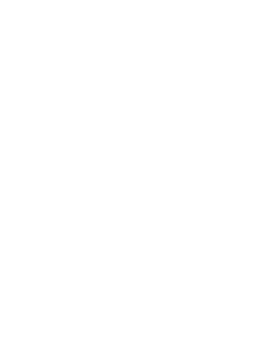 permit icon 
