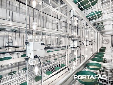 cannabis cultivation room