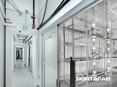 cannabis hallway